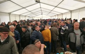 Grah fest 2020.